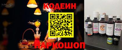 индика Можга
