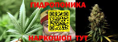 индика Можга