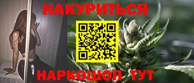индика Можга