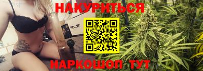 индика Можга