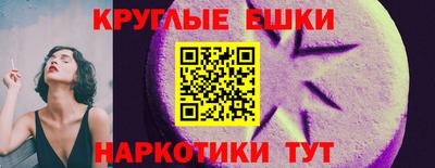 индика Можга