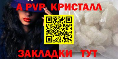 индика Можга