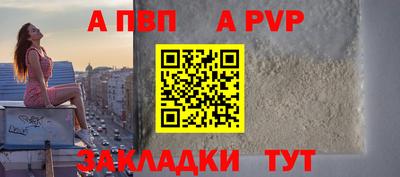 индика Можга